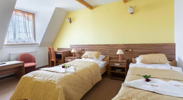Двухместный номер Standard Hotel Góralski Raj