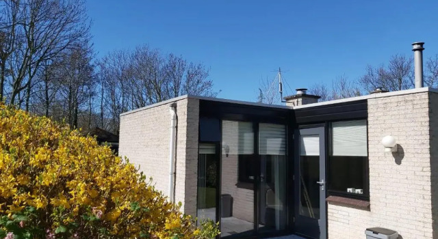 Klepperstee Esdoorn 3