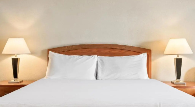 Номер Standard Golden Sails Hotel