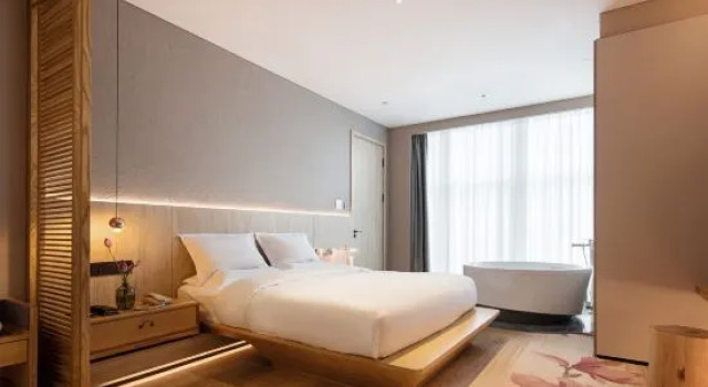 Люкс Manduli Hotel