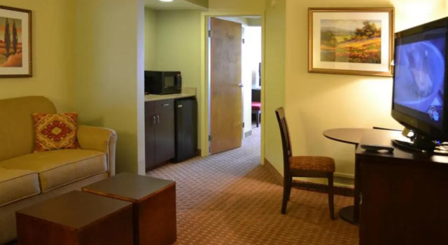 Двухместный люкс Euro-Suites Hotel