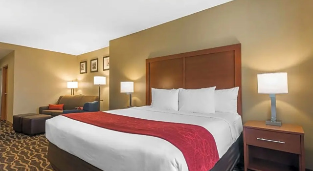 Двухместный номер Standard Comfort Suites Tampa Airport North