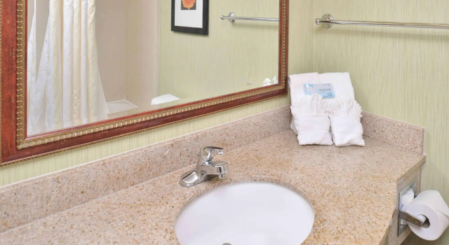 Двухместный номер Premium Hilton Garden Inn Indianapolis/Carmel