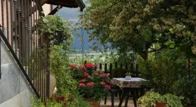 Agriturismo L'Ulivo in Fiore, Varaa Hotelli Spoleto Umbria