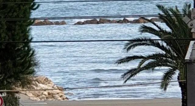 eleonora, Rezervovat Hotel Grottammare 