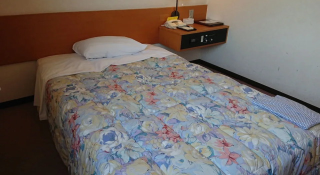 Номер Deluxe Mihara Kokusai Hotel