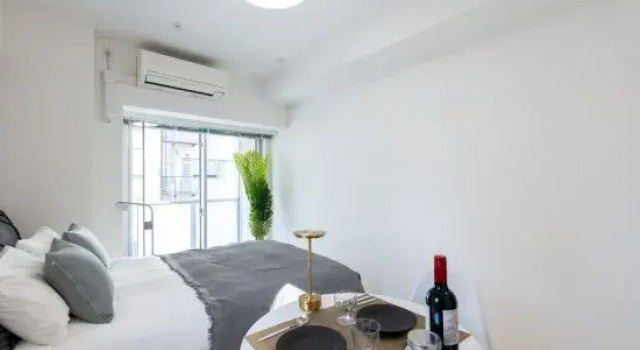 Люкс Standard Sky Kinshicho