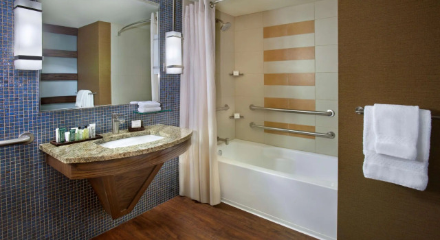 Двухместный номер Accessible Hilton Palacio del Rio