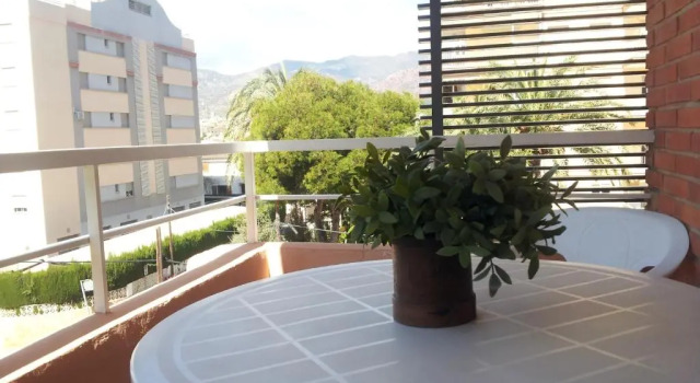 Одноместный номер Standard Hotel Tramontana