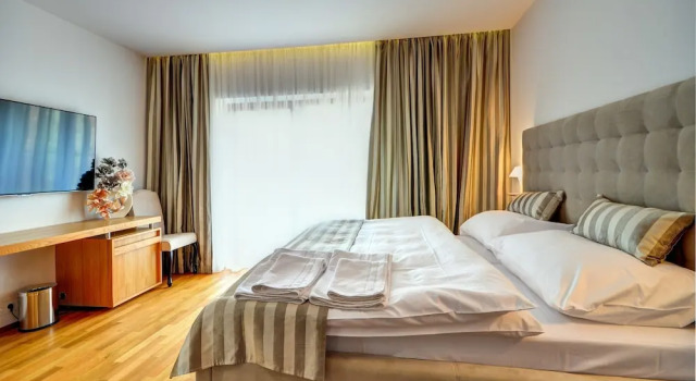 Двухместный люкс hotel Chmelnice