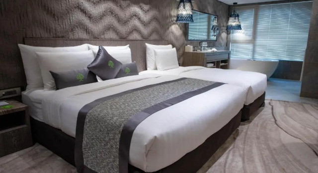 Трёхместный номер Deluxe arTree hotel