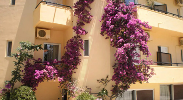 Drosia Hotel
