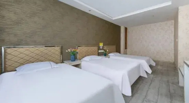 Трёхместный люкс Executive AIVIK Boutique Hotel (Taisheng Plaza Store, Lanshan District, Linyi)