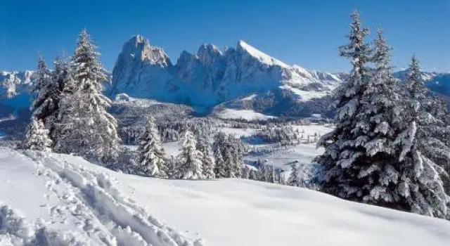 Alpin Sport