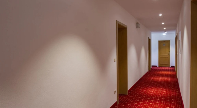 Одноместный номер Standard с видом на озеро Hotel Seehof