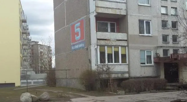 Dviejų kambarių butas