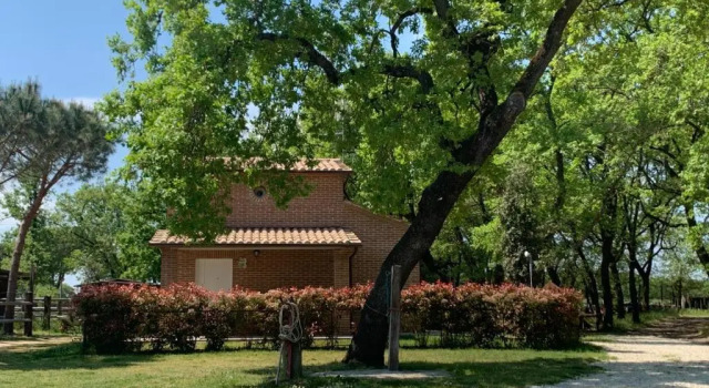 Коттедж Casina Miriano