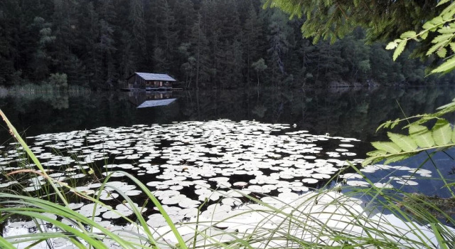 Gasthof Piburger See, Забронировать Отель Отели Эц 3 звезды, 3*