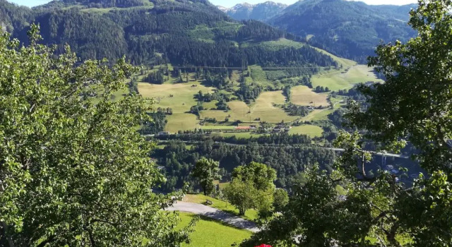 Апартаменты Biobergbauernhof Bergzeit Apartment in Goldegg