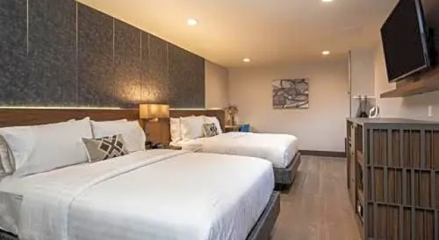 Четырёхместный номер Standard Americas Best Value Inn Golden Bear Inn