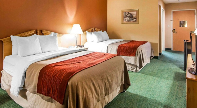 Standard- firedobbelt værelse Econo Lodge Newport Smoky Mountains Gateway