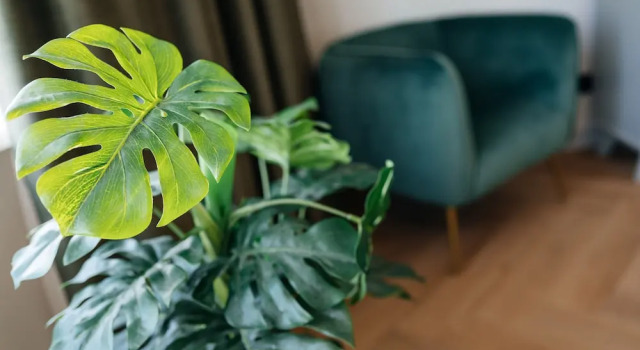 Двухместный номер Standard MyHotel Steenwijk - Giethoorn
