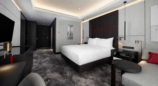 Двухместный номер Deluxe Hilton Belgrade