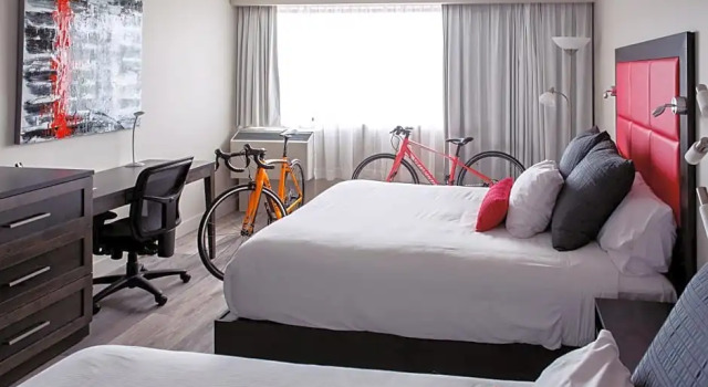 Четырёхместный номер Executive Hotel Universel Alma