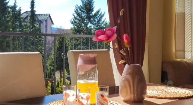 Апартаменты c 1 комнатой Apartmani MM Zlatibor