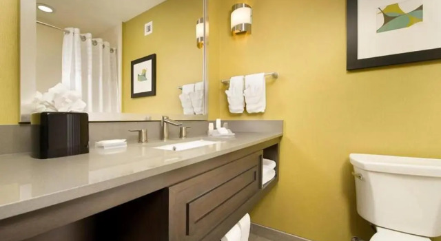 Номер Premium Hilton Garden Inn College Station