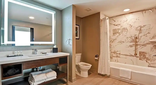 Люкс c 1 комнатой Embassy Suites by Hilton Plainfield Indianapolis Airport