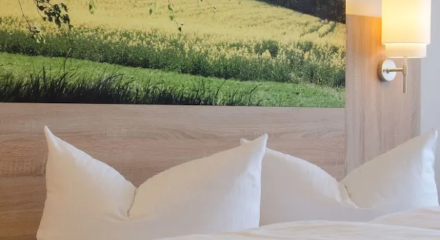 Двухместный номер Standard c 1 комнатой Garden Hotel