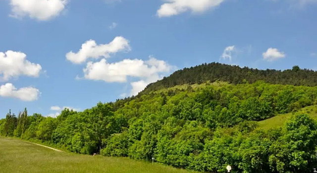 Номер Standard Hotel Haus Orchideental Jena