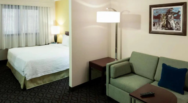 Люкс SpringHill Suites by Marriott Dallas Downtown / West End