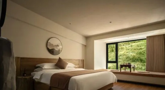 Люкс Wutai Mountain Hemlock Forest Homestay