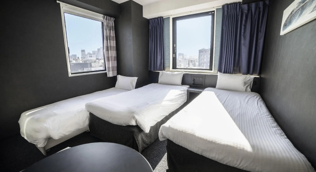 Двухместный номер Extra Henn na Hotel Tokyo Asakusabashi