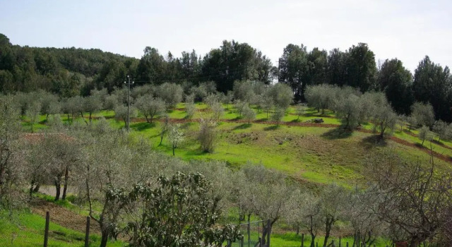 Апартаменты Casa di Santi - Appartamento La Cinciallegra