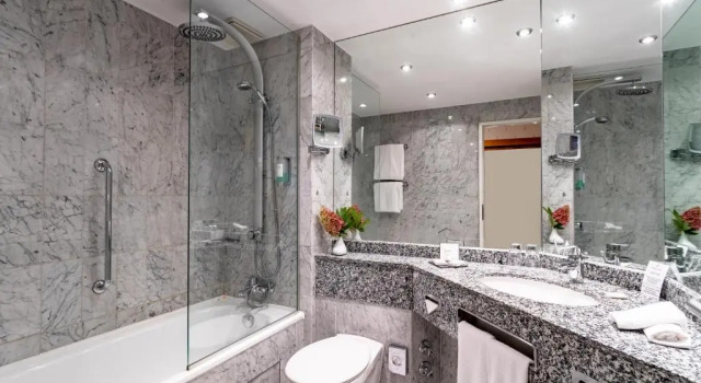 Номер Superior Parkhotel Görlitz