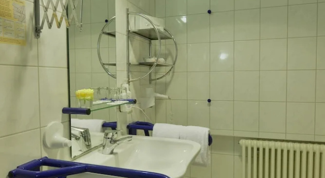 Одноместный номер Economy c 1 комнатой Ringhotel Haus Oberwinter