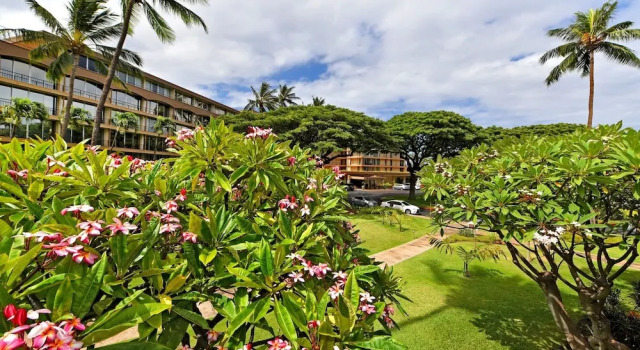 Номер Standard Maui Kaanapali S #b233 1 Bedroom Condo by RedAwning