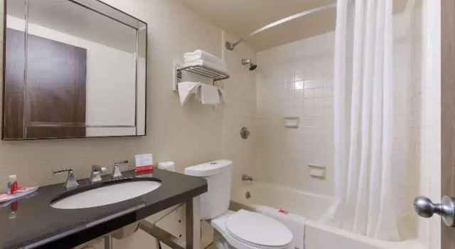 Четырёхместный номер Standard Econo Lodge High Point - Archdale