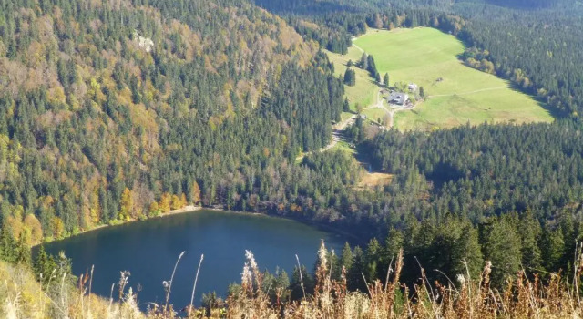 Апартаменты Ferienhaus Ehinger