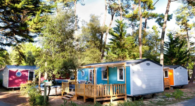 Семейный номер Standard Camping Signol