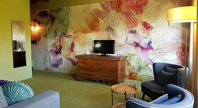 Люкс Comfort Hôtel-SPA Le Moulin De La Wantzenau - Strasbourg Nord