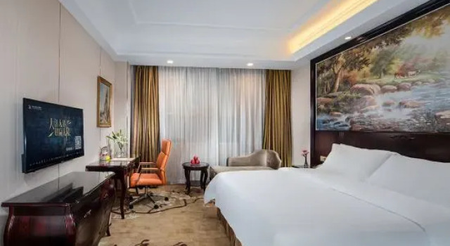 Люкс Superior Vienna International Hotel (Shenzhen Guanlan Huanguan South Road)