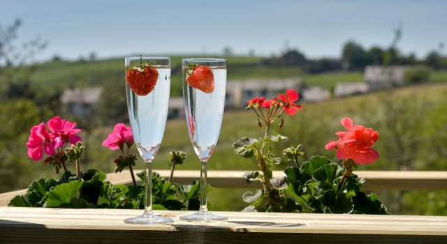 Студия Rossendale Holiday Cottages
