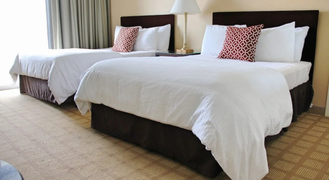 Четырёхместный номер Standard The Empress Hotel & Adult Nightclub