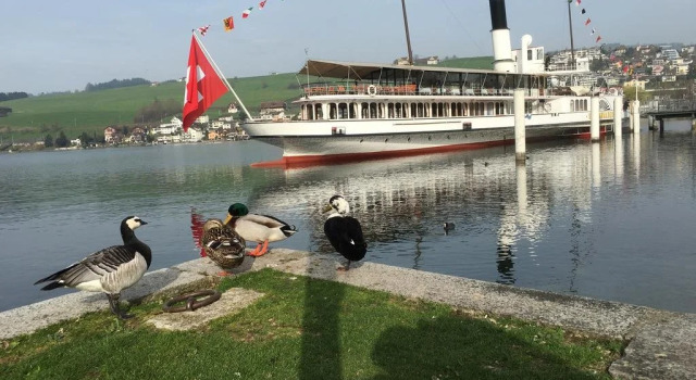 Bahnhöfli Küssnacht GmbH, Rezervați Hotel Kuessnacht Schwyz