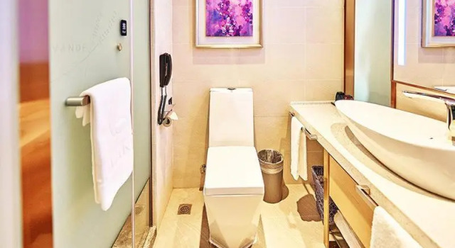 Семейный номер Standard Lavande Hotel·Changchun People's Square