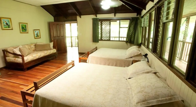 Номер Standard Selva Verde Lodge